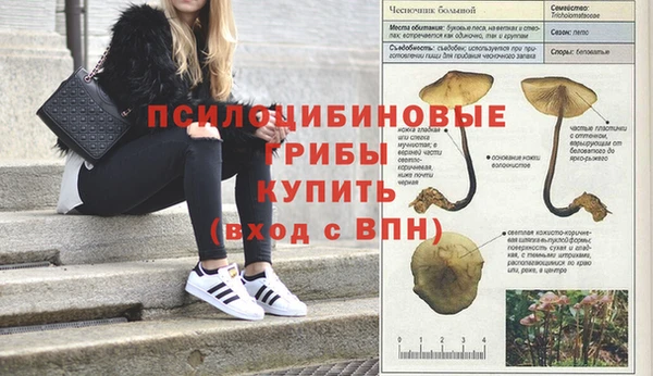 метадон Кулебаки