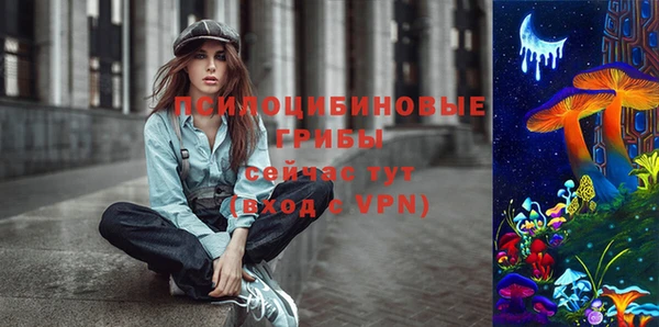 Альфа ПВП Кукмор