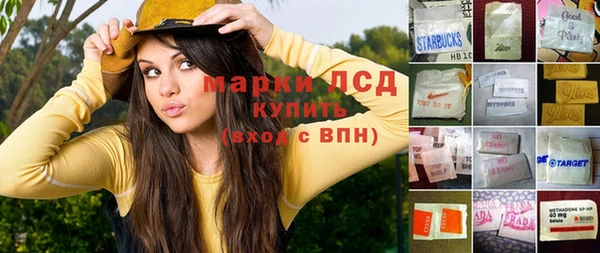 spice Богородск