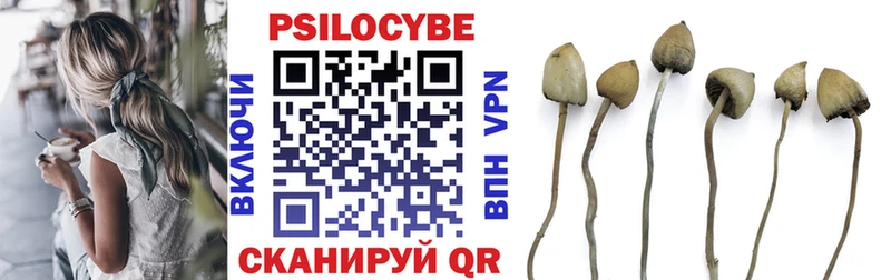 Псилоцибиновые грибы Psilocybine cubensis OMG онион Ижевск