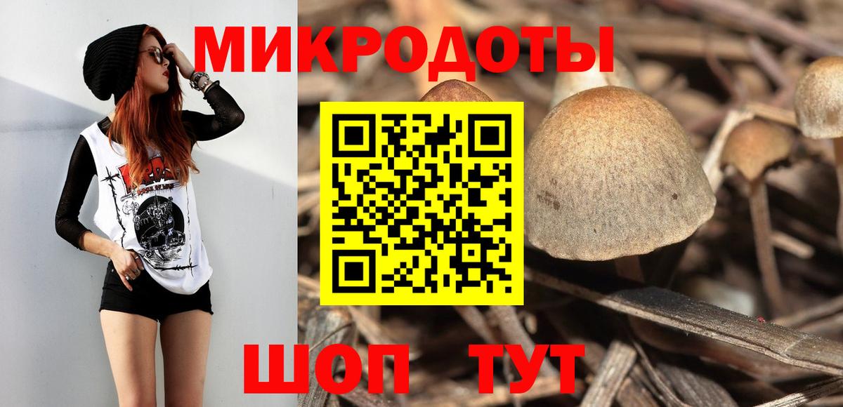 Псилоцибиновые грибы прущие грибы Ижевск