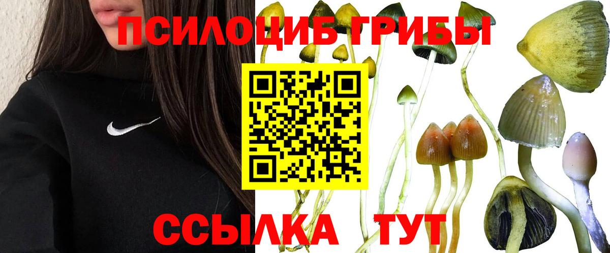 Ижевск  Галлюциногенные грибы Magic Shrooms  Вход с VPN  Псилоцибиновые грибы Psilocybine cubensis 