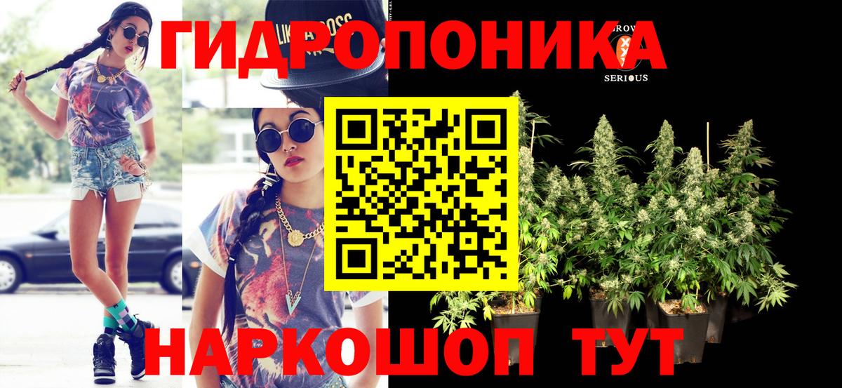 Бошки марихуана индика  Бошки Шишки SATIVA & INDICA  Бошки Шишки сатива  Вход с VPN  Канабис White Widow  Ижевск 